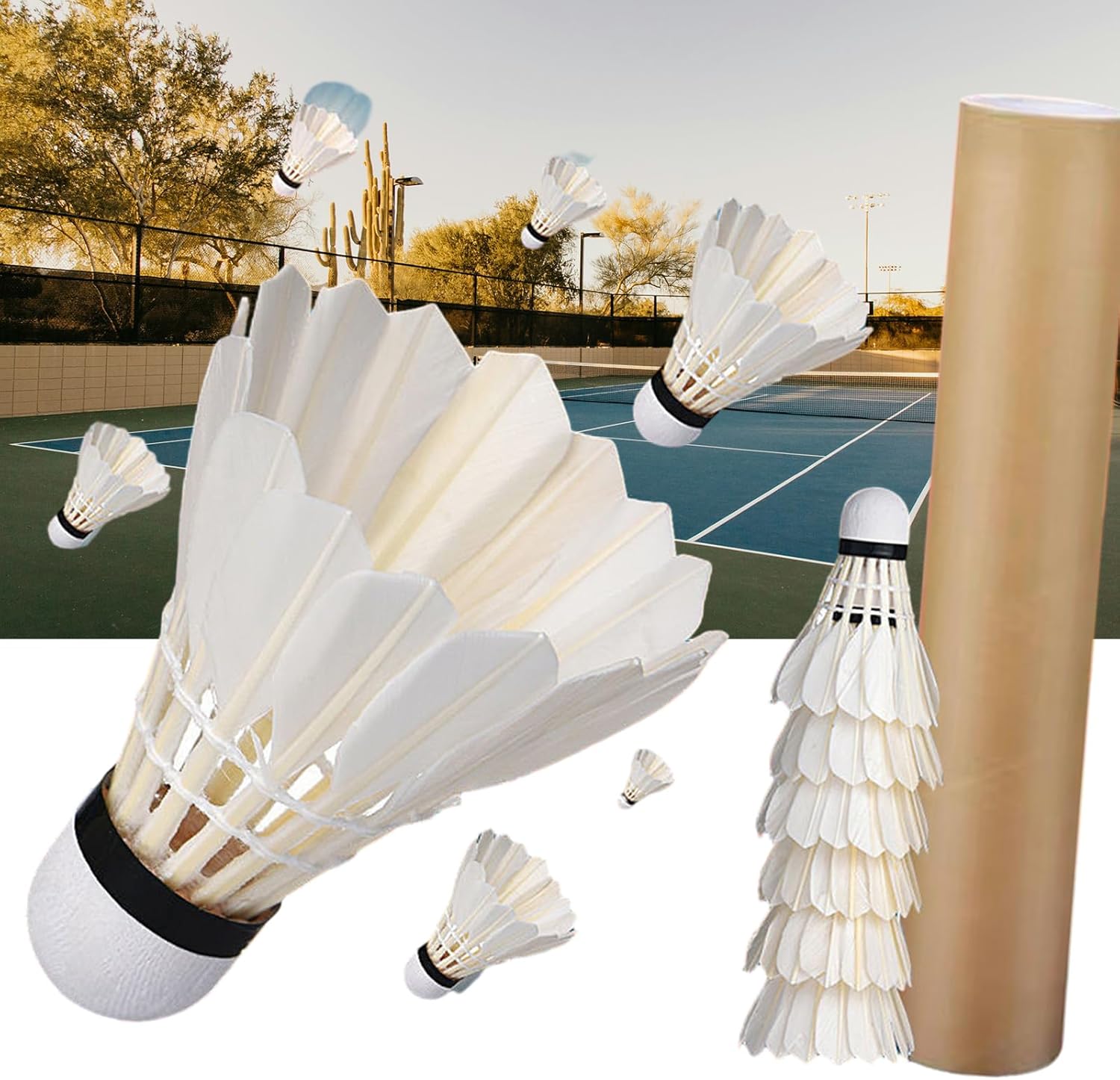12 Pcs High Speed Training Badminton Professional Duck Badminton Shuttlecocks Sport Accessories